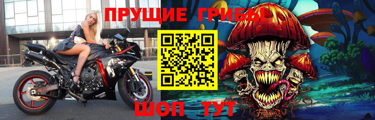 Галлюциногенные грибы прущие грибы  Псилоцибиновые грибы мухоморы  Бузулук 