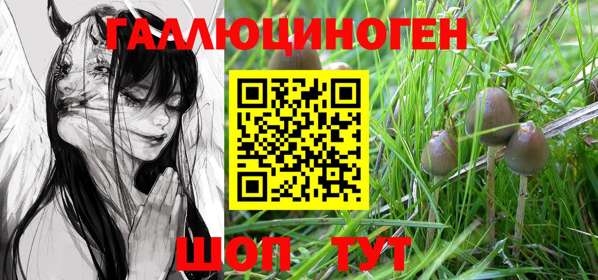 Галлюциногенные грибы мицелий  Вход с VPN  Бузулук 