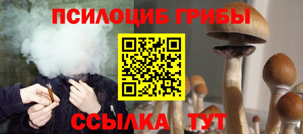 Галлюциногенные грибы Psilocybine cubensis Бузулук